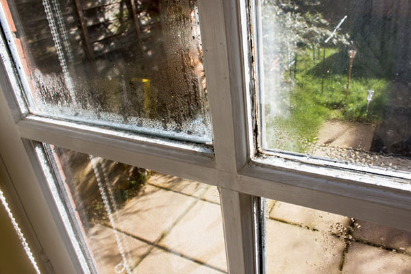 Signs You May Need to Replace Your Windows